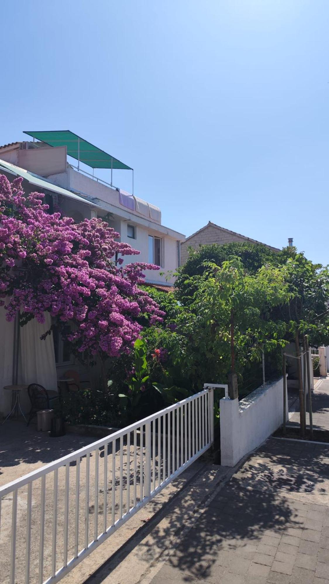 Apartments Suri Водице Екстер'єр фото